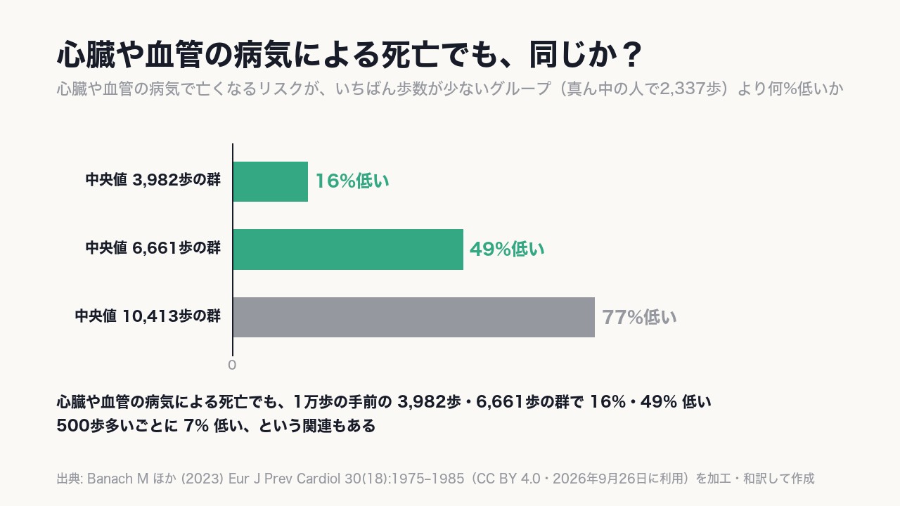 心臓や血管の病気による死亡でも、1万歩の手前の6,661歩のグループで《49%》低い。