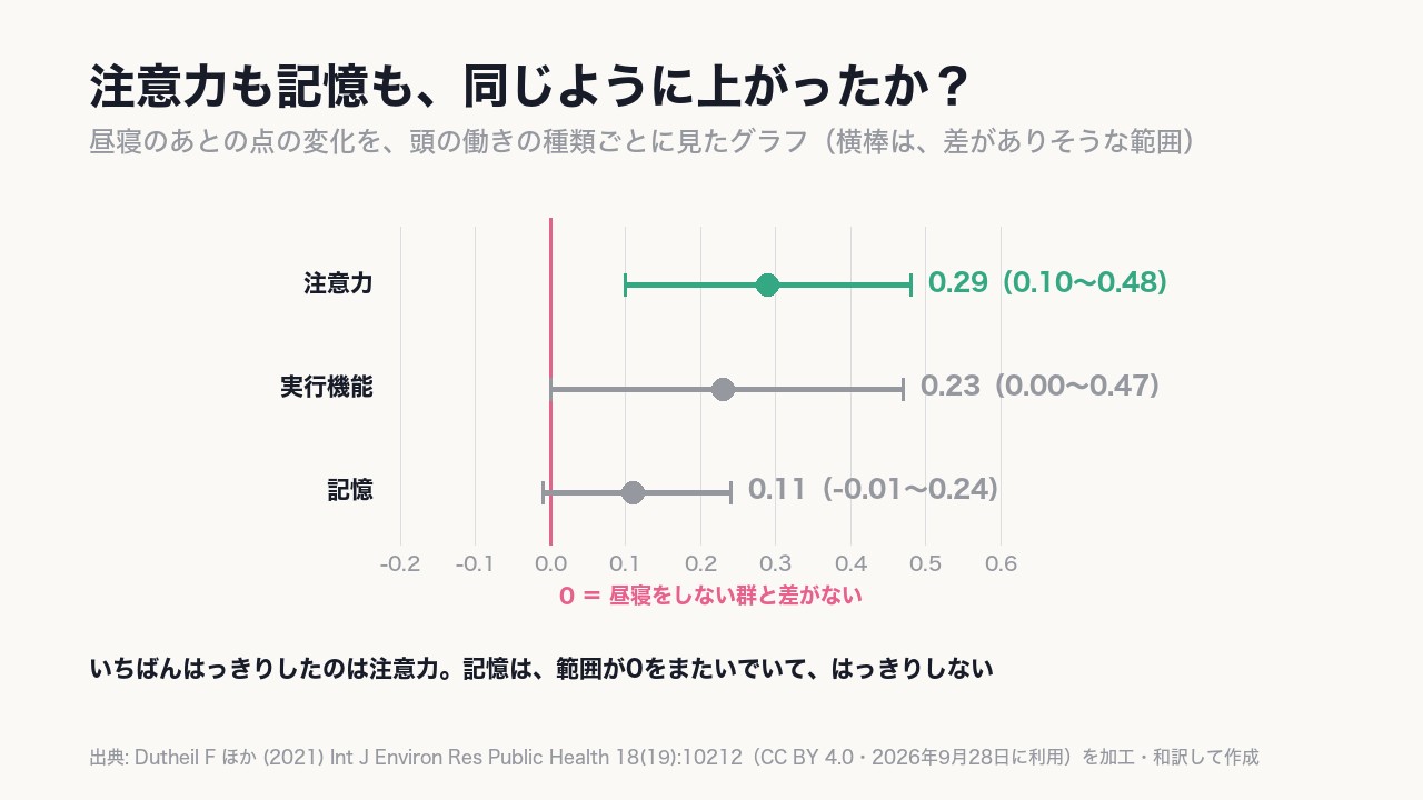 いちばんはっきりしたのは《注意力（0.29）》。実行機能（0.23）は0のすぐそばだが0を下回らず、記憶（0.11）は0をまたいで、はっきりしない。