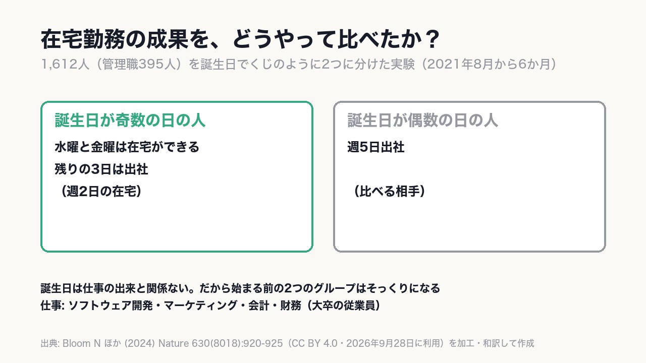 1,612人を誕生日の奇数・偶数で分け、片方は水曜と金曜に在宅、もう片方は週5日出社。〈誕生日は仕事の出来と関係ない〉ので、くじ引きの代わりになる。